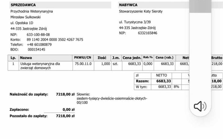 Zbiórka faktura za leczenie Koty Sieroty - zdjęcie główne
