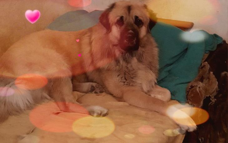 Zbiórka Znajoma w trudnej sutuacji - zdjęcie główne