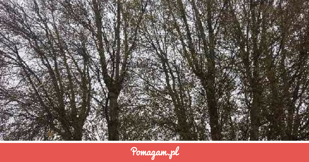 Pomuz Zrzutka na Pomóż Mi Się Odbić... - Magdalena Łomianek | Pomagam.pl