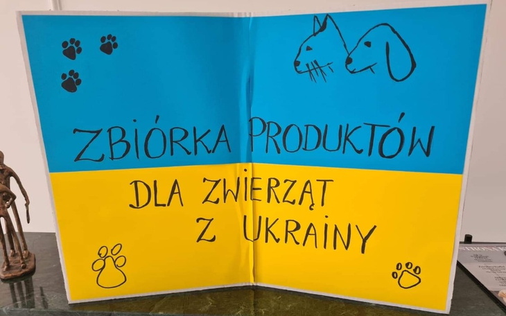 Zbiórka Wsparcie schronisk w Ukrainie - zdjęcie główne