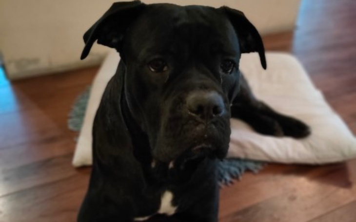 Zbiórka Frida - zdjęcie główne