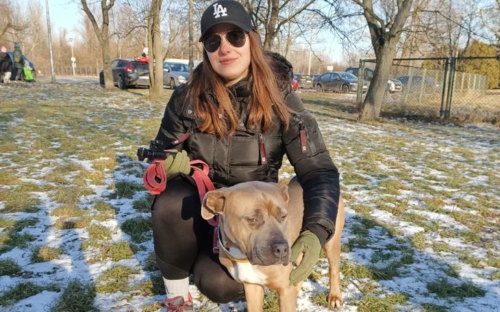 Zbiórka Dla Amstaffów z Palucha - zdjęcie główne