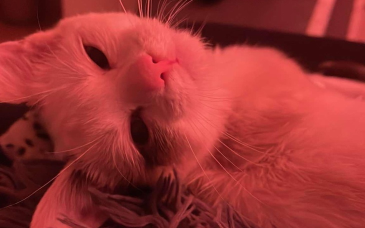 Zbiórka Pomóżmy Mai wygrać z chorobą - zdjęcie główne