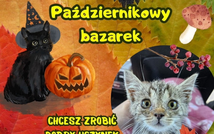 Zbiórka Październikowy Bazarek - zdjęcie główne