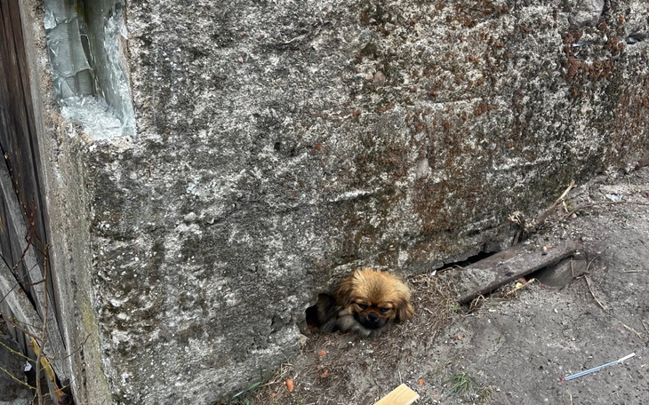 Zniszczony sufit w pomieszczeniu, z widocznymi przewodami.