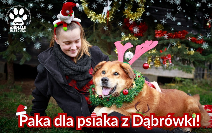 Kobieta z psem w świątecznym otoczeniu, uśmiechająca się do kamery.