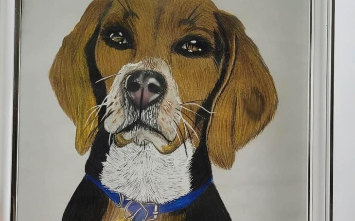 Zbiórka Rysowanie-moja pasja - zdjęcie główne