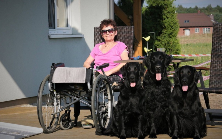 Zbiórka Elektryczny skuter - zdjęcie główne