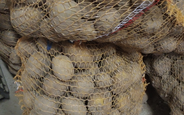 Zbiórka Obieraczka do ziemniaków - zdjęcie główne