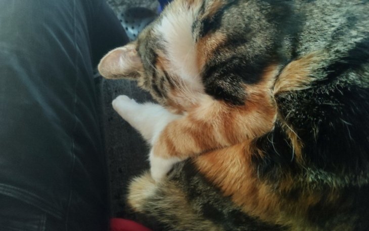 Zbiórka Na dom w Polsce na Mazurach - zdjęcie główne