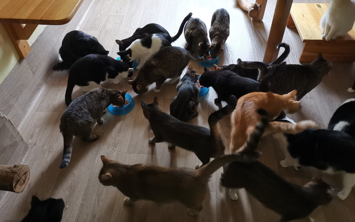 Zbiórka Lokal i woda w sierpniu 2024 - zdjęcie główne