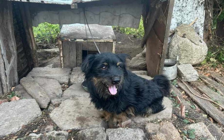 Zbiórka Urodzinowe pomaganieBEZDOMNIAKOM - zdjęcie główne