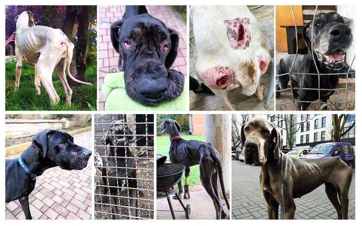 Zbiórka Pomóżcie nam zmienić ich życie - zdjęcie główne