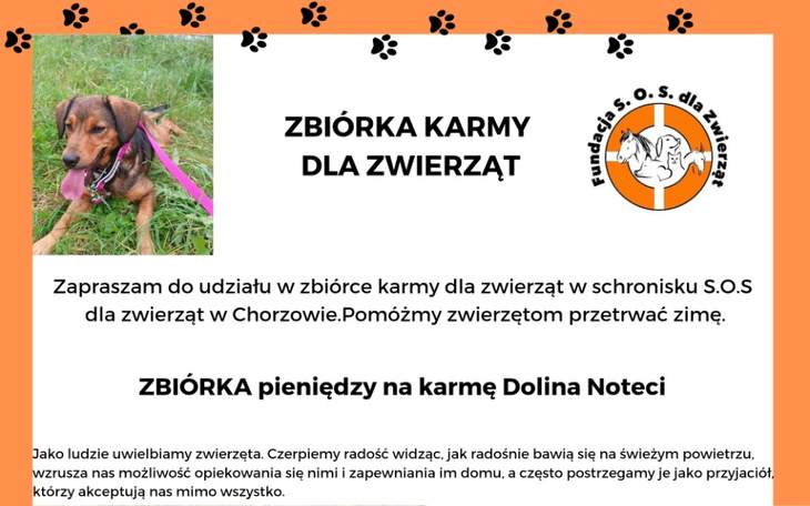 Zbiórka S.O.S. dla zwierząt - zdjęcie główne