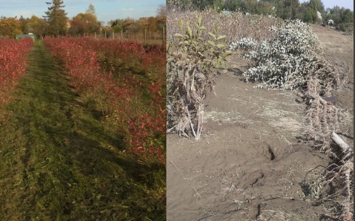 Zbiórka Zbiórka dla Eli- powódź - zdjęcie główne