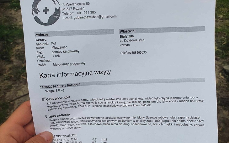 Zbiórka Ekstracja ząbków Gerdzia - zdjęcie główne