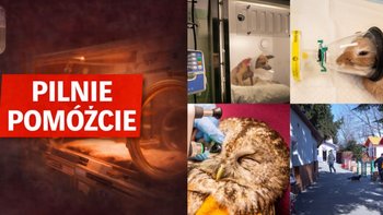 Zbiórka Rachunek grozy cena życia ratuj - miniaturka zdjęcia