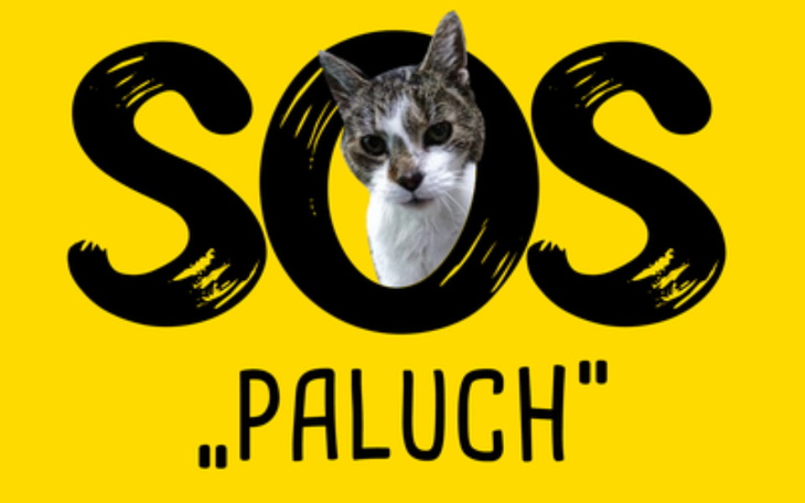 Zbiórka Wolontariusz też człowiek - zdjęcie główne