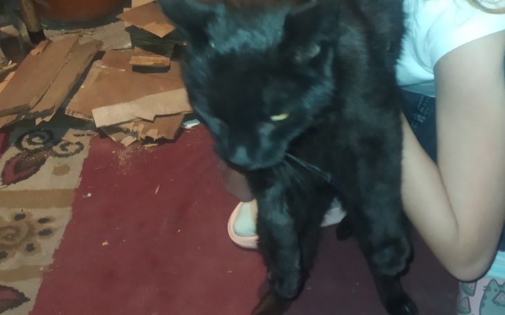 Zbiórka Pomagamy czarnej - zdjęcie główne