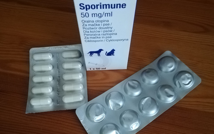 Zbiórka Kontynuacja leków dla Gizma - zdjęcie główne