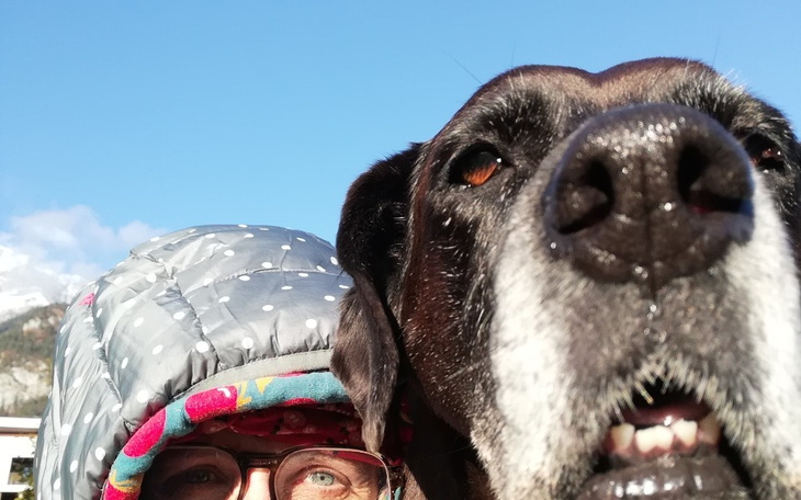 Zbiórka Ucieczka z Austrii I. - zdjęcie główne