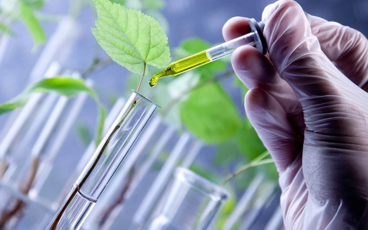 Zbiórka Studia za granicą. - zdjęcie główne