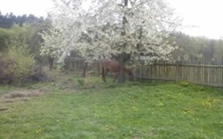 Zbiórka Stworzenie spokojnej przystani - zdjęcie główne