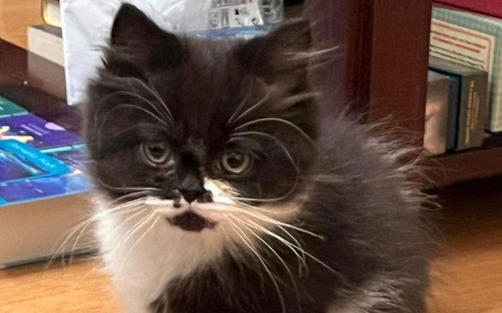 Zbiórka Mały Feliz walczy o życie - zdjęcie główne