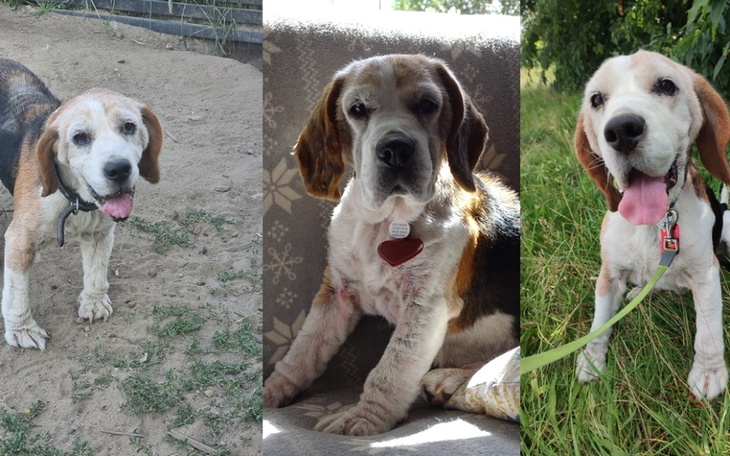 Zbiórka Lucia zbiera na lepsze jutro - zdjęcie główne