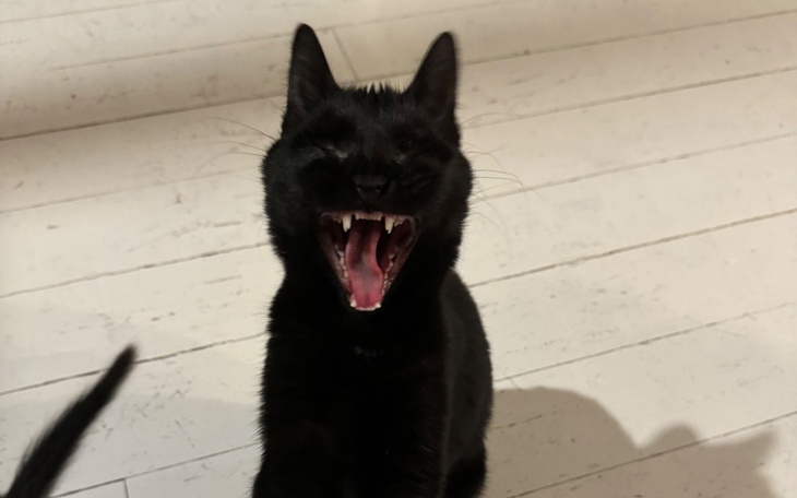 Zbiórka Patryk i zapalenie otrzewnej - zdjęcie główne