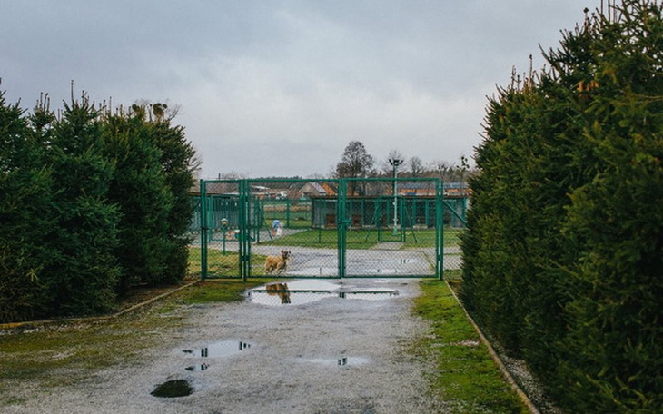 Zbiórka Kojec dla katarzyniaków - zdjęcie główne