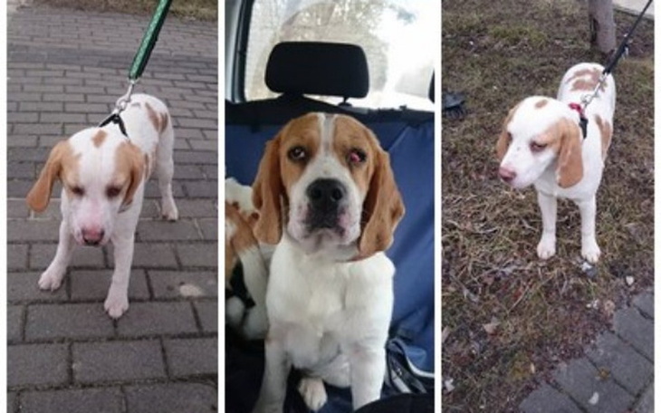 Zbiórka Nowe życie - trudny start... - zdjęcie główne