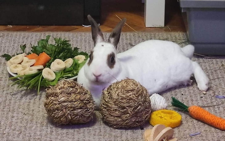 Zbiórka Na leki i bycie prawnie kobietą - zdjęcie główne