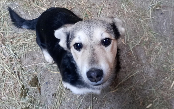 Dziecko w niebieskim hełmie, leżące na łóżku szpitalnym.
