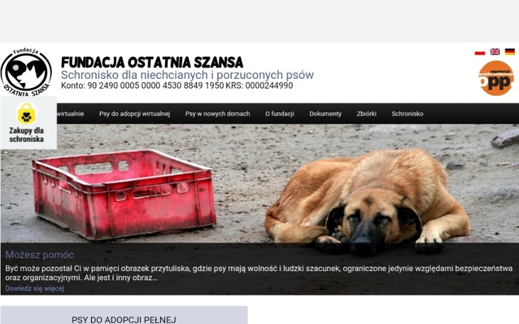 Zbiórka Pomagamy niechcianym pieskom - zdjęcie główne