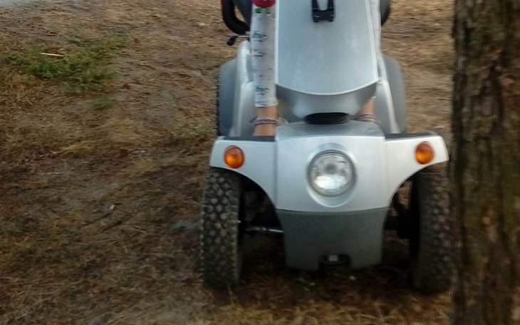 Zbiórka Naprawa wózka elektrycznego - zdjęcie główne