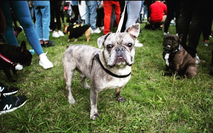 Zbiórka Operacja zerwanego więzadła Fred - zdjęcie główne