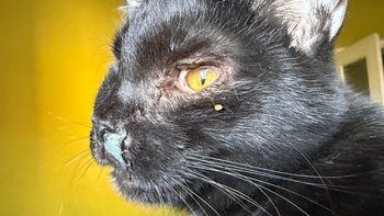 Zbiórka Zbiórka - kwiecień 2026 - miniaturka zdjęcia