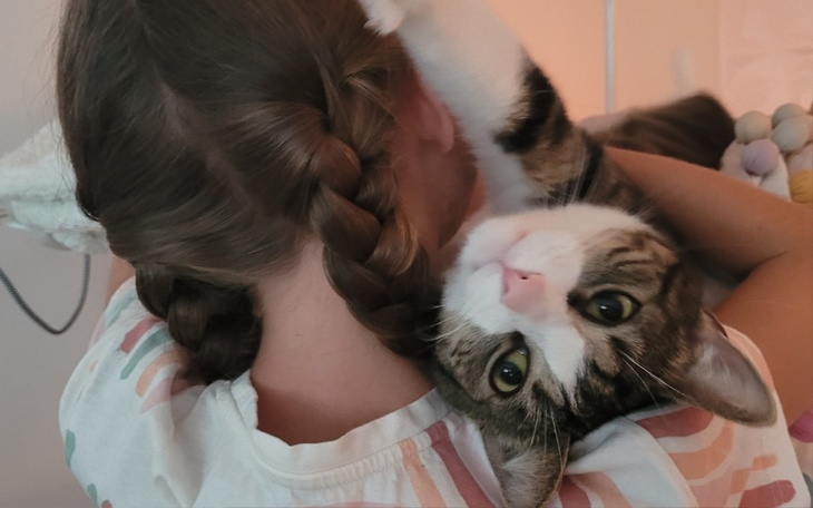 Zbiórka Na spłatę za leczenie - zdjęcie główne