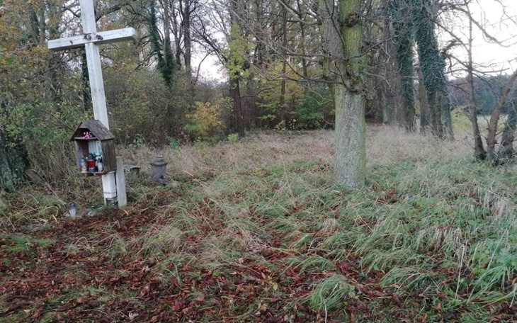 Zbiórka Zbiórka na renowacje cmentarza - zdjęcie główne