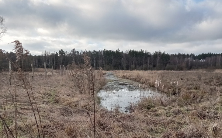 Zbiórka Na nowy, lepszy start - zdjęcie główne