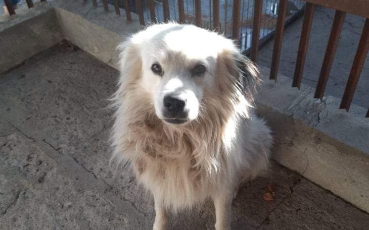 Zbiórka By móc jechać po nowe życie. - zdjęcie główne