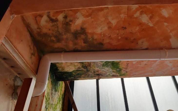 Zbiórka Remont fundacji - zdjęcie główne