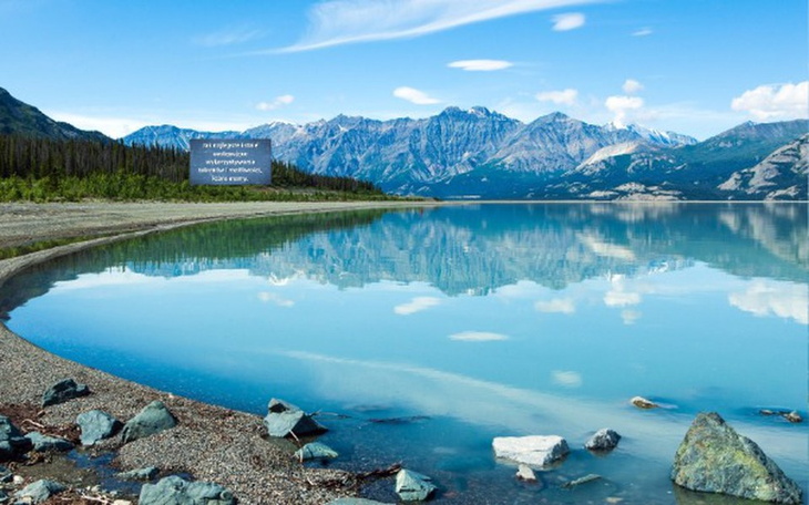 Zbiórka efsdfsd - zdjęcie główne