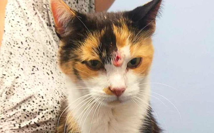 Zbiórka Potraktowali ją jak rzecz... - zdjęcie główne