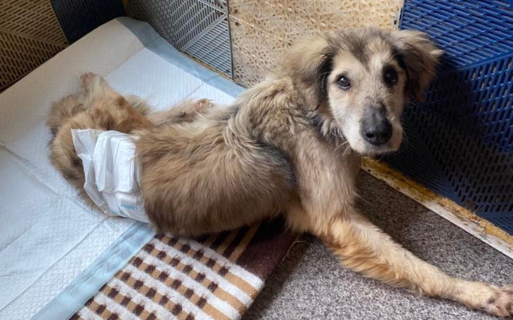 Zbiórka Na najpotrzebniejsze rzeczy - zdjęcie główne