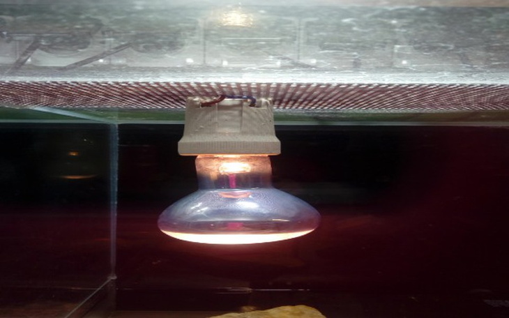 Zbiórka Prąd na Nowy Rok - zdjęcie główne