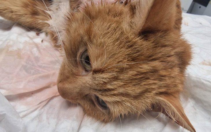 Zbiórka Spisany na straty - zdjęcie główne