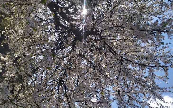 Zbiórka Pomoc...właściwie na już - zdjęcie główne