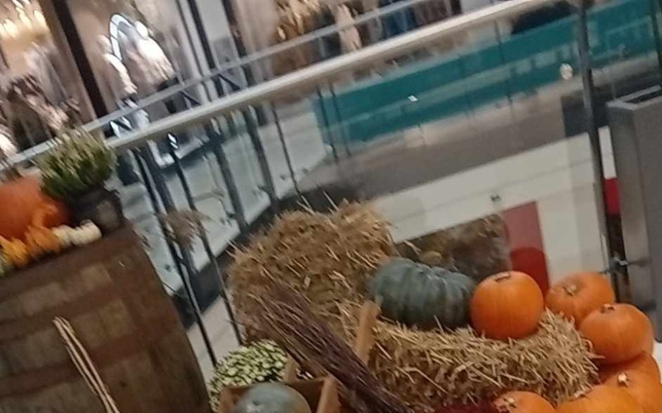 Zbiórka Spelnienie marzeń o własnym domu - zdjęcie główne